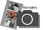 photo gallery